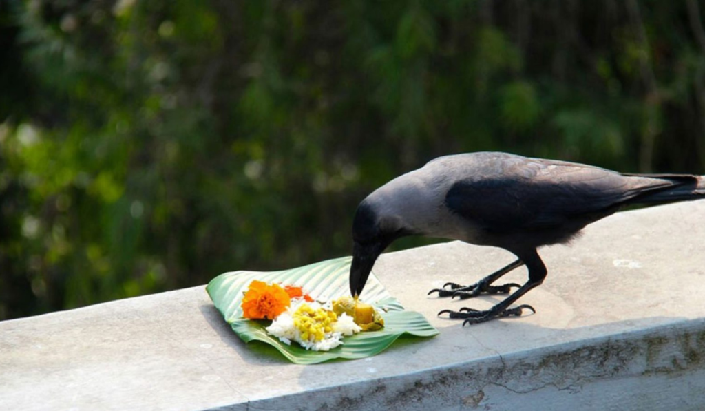 Pitru Paksha Shradh