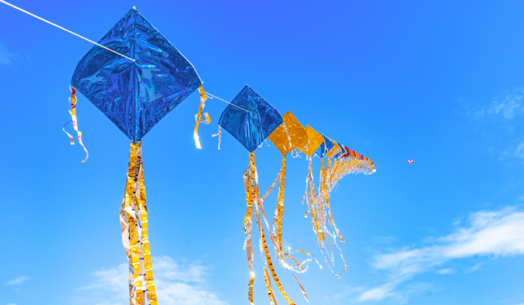 makar sankranti